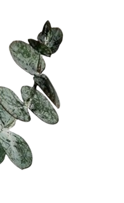 Flower decoration